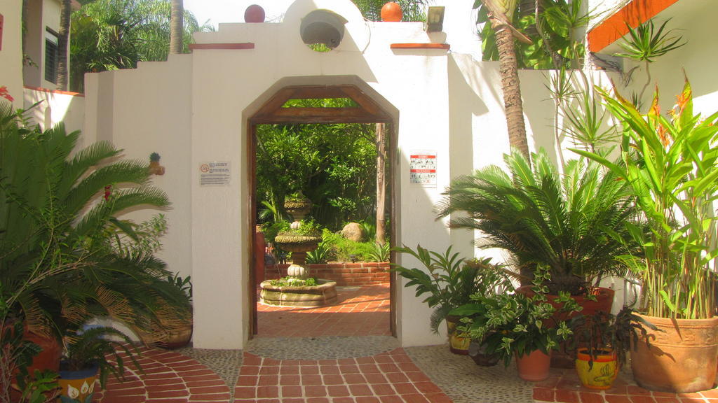 La Paloma Oceanfront Retreat Hotel San Patricio Melaque Buitenkant foto